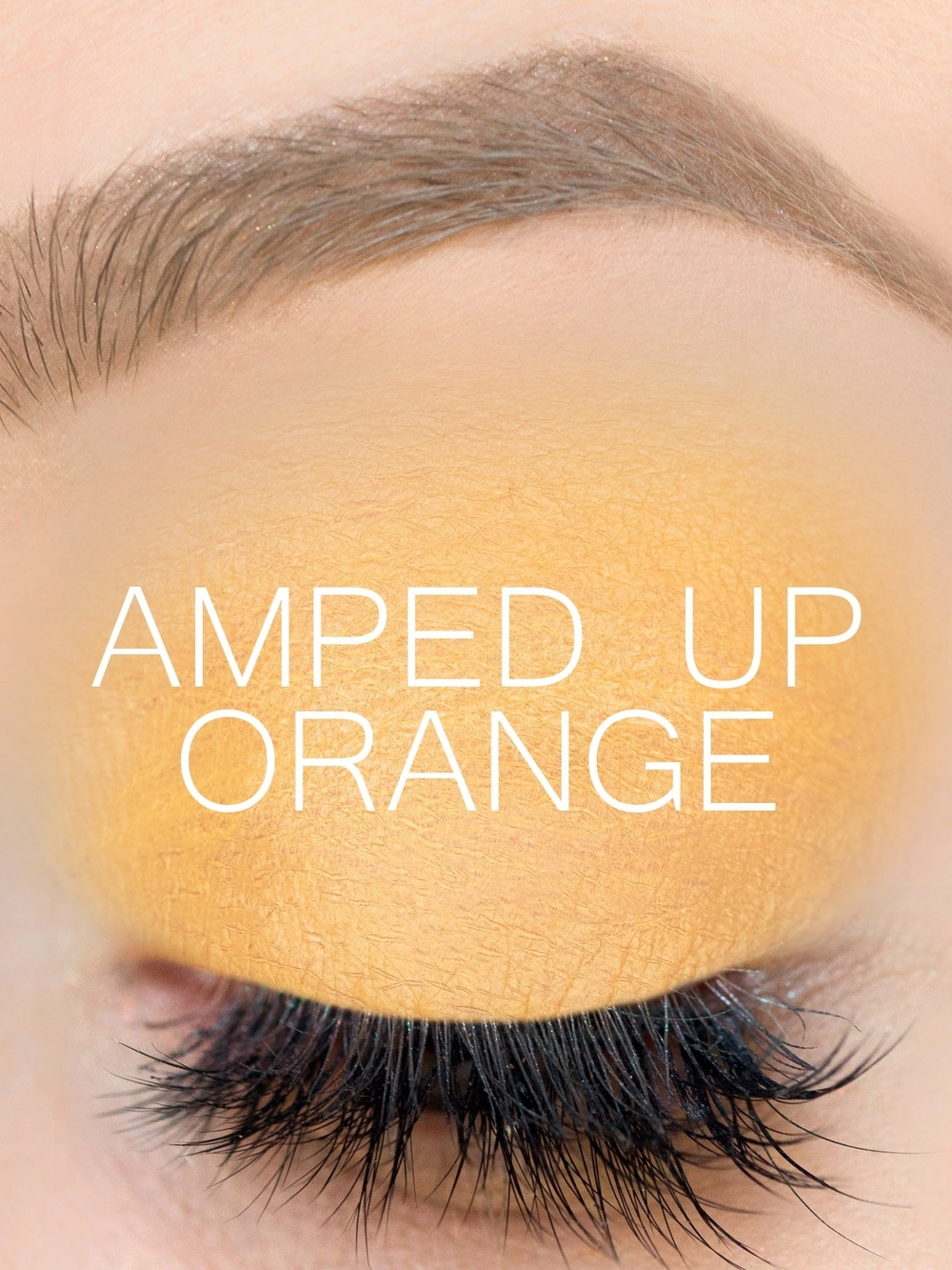 Amped Up Orange Shadowsense